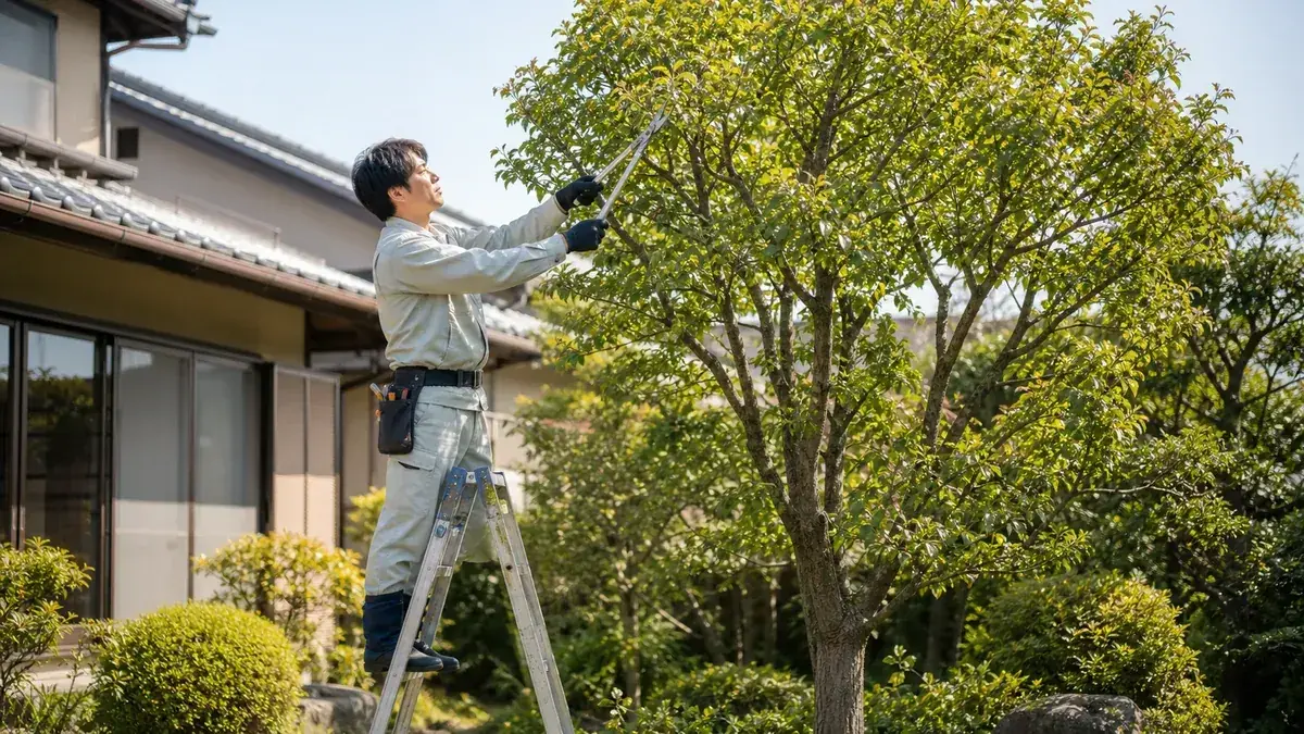 庭木を剪定する造園職人